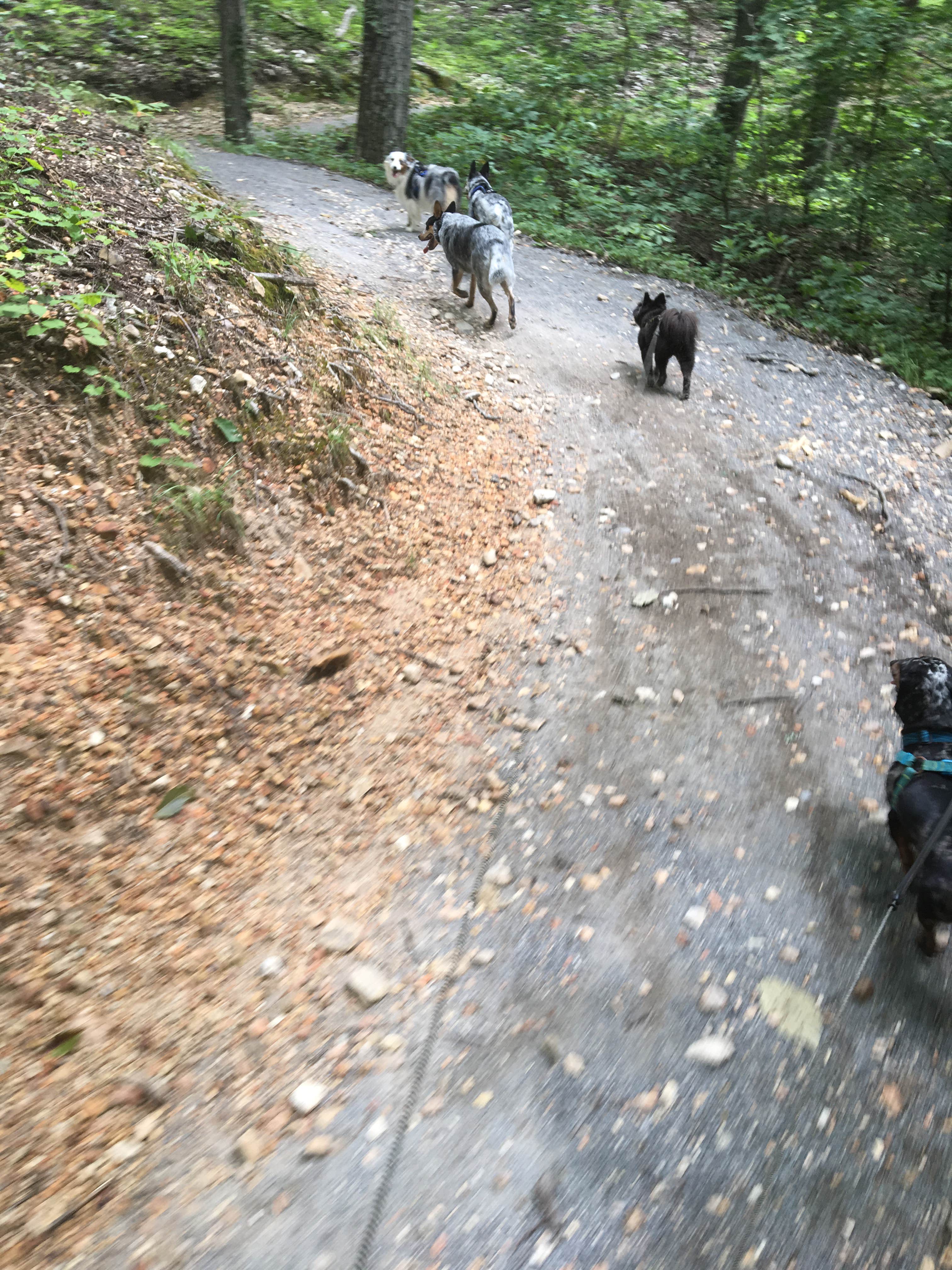Camper submitted image from Fenton Lake Access - DFWR - 4