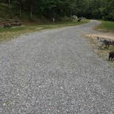 Review photo of Fenton Lake Access - DFWR by Shelly S., August 14, 2017