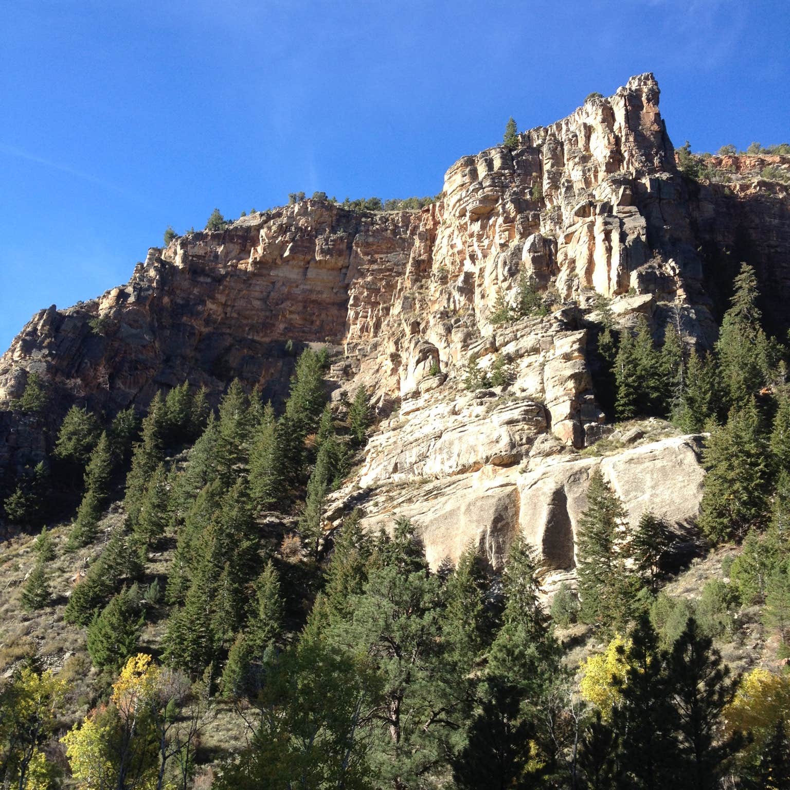 Lodgepole Campground Camping The Dyrt