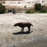 Review photo of Lopez Lake Recreation Area by Jeremy F., August 14, 2017