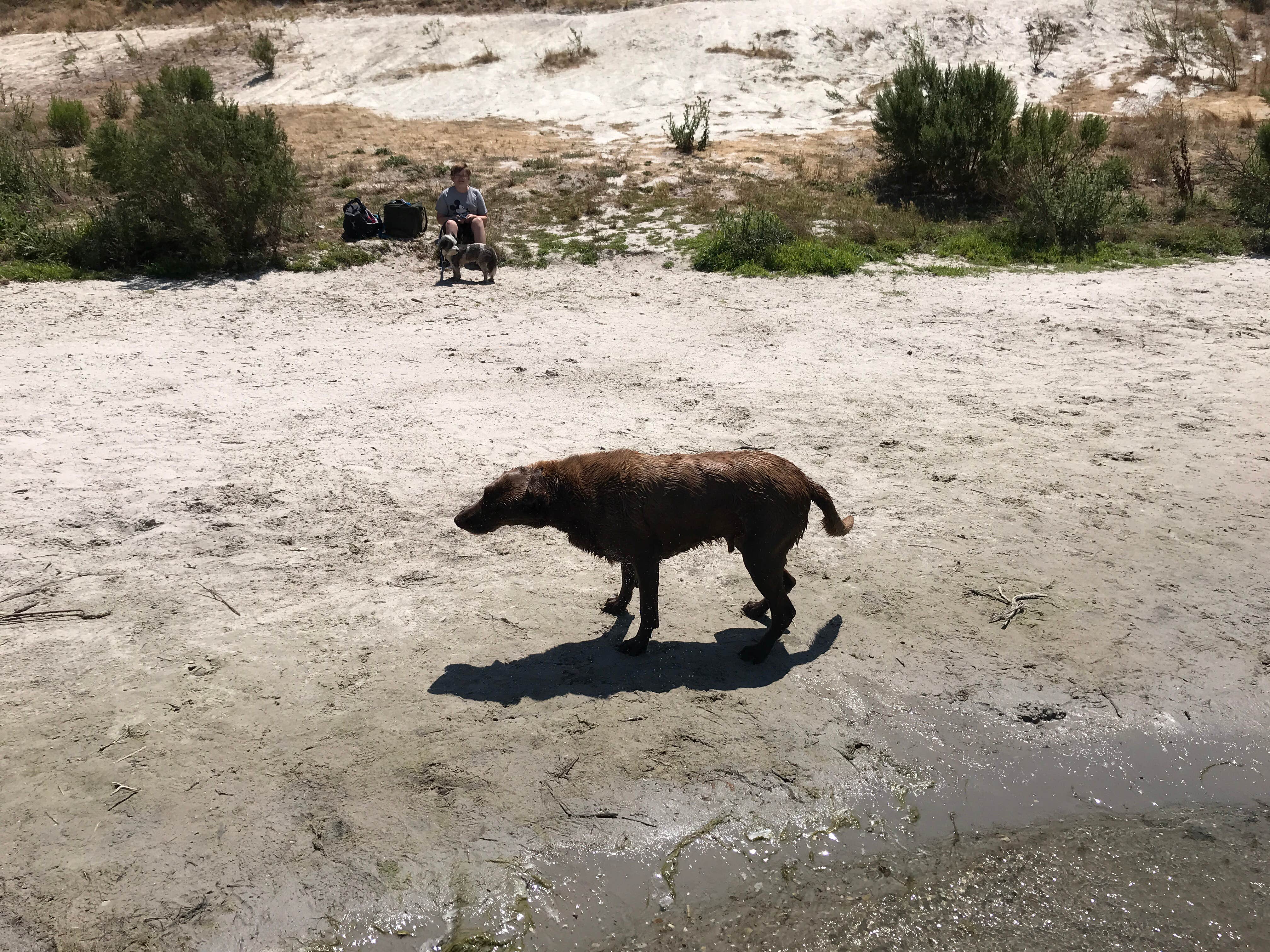Camper submitted image from Lopez Lake Recreation Area - 4