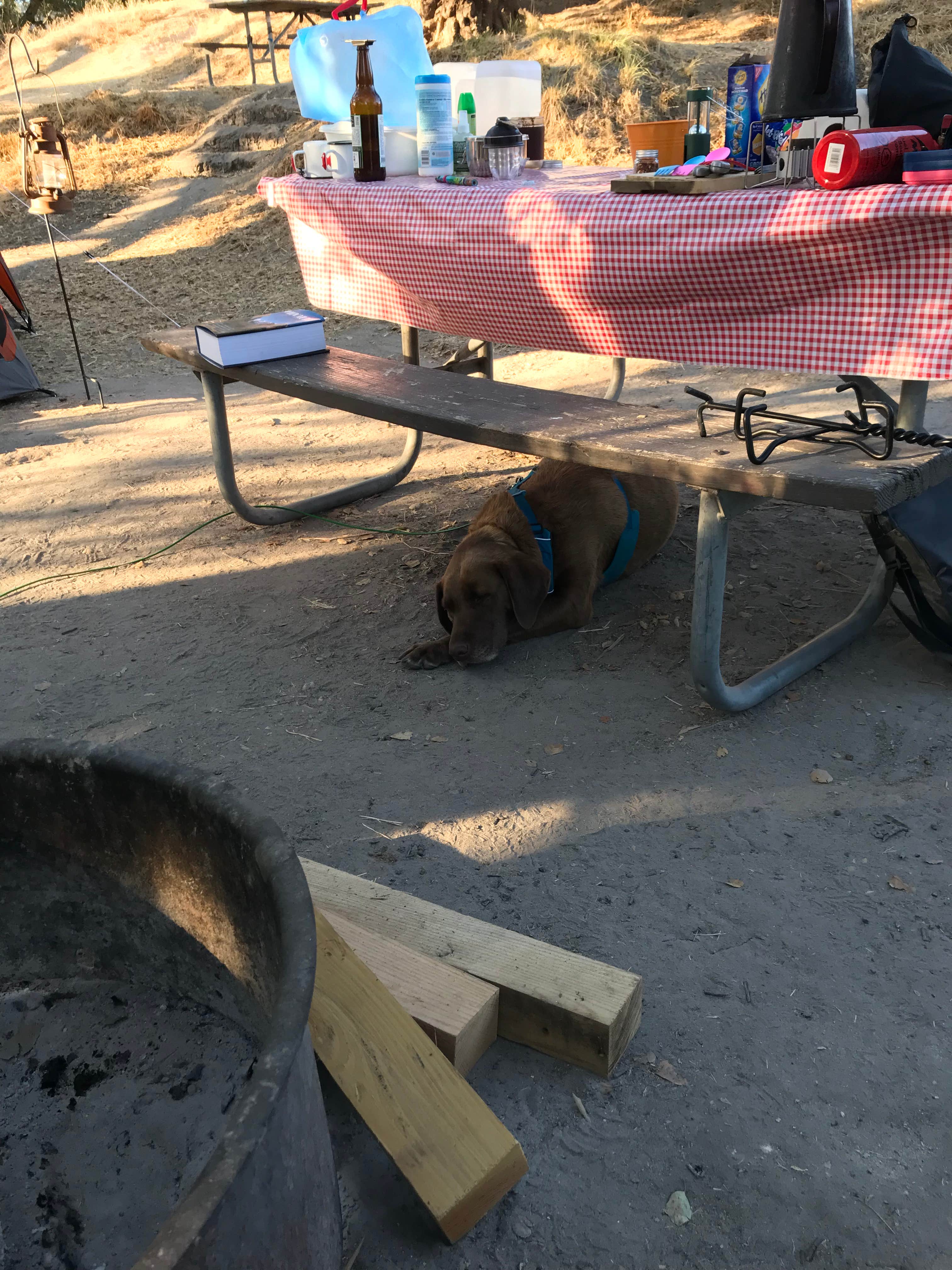 Camper submitted image from Lopez Lake Recreation Area - 3
