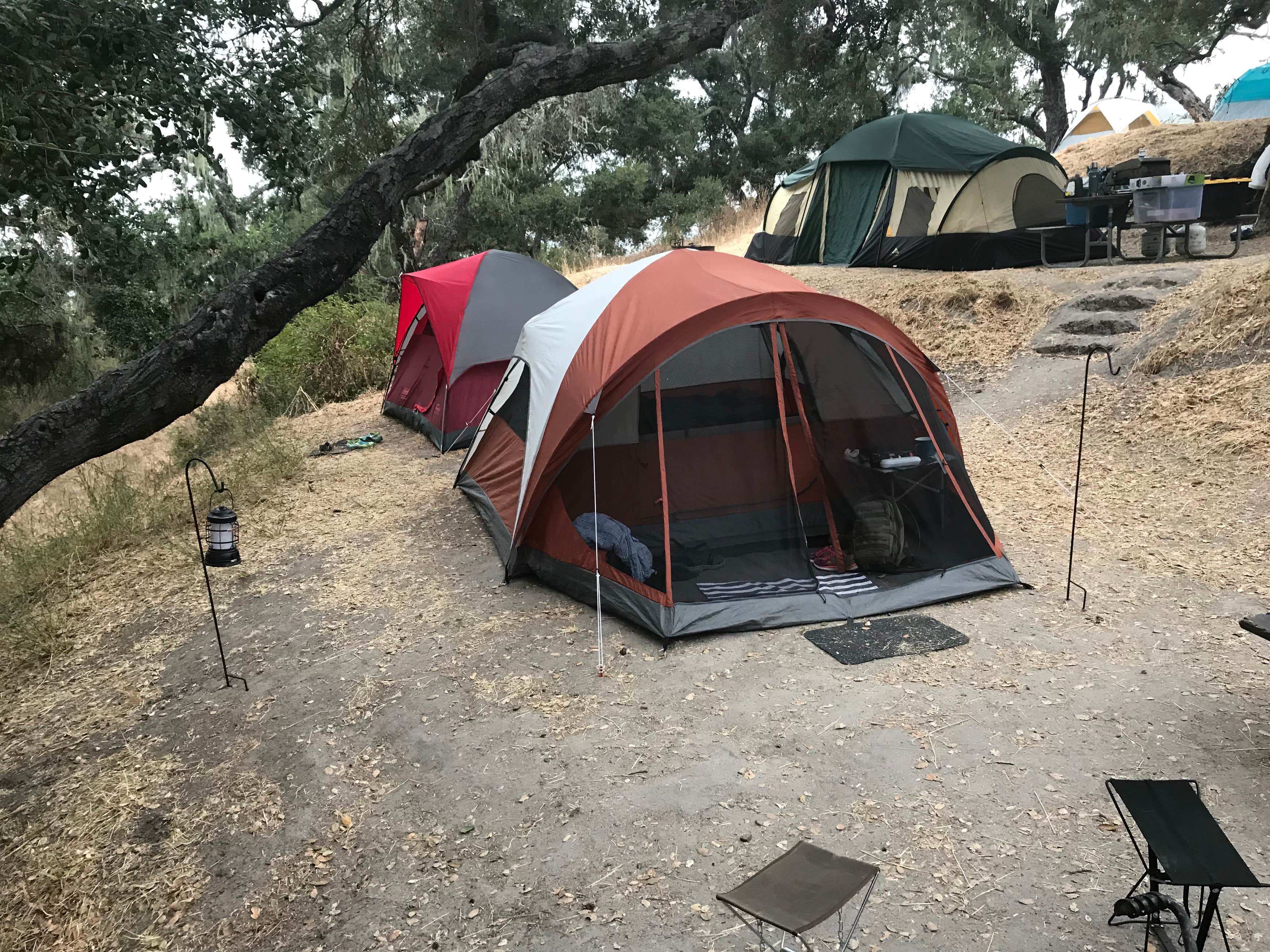 Lopez Lake Campground Camping | The Dyrt