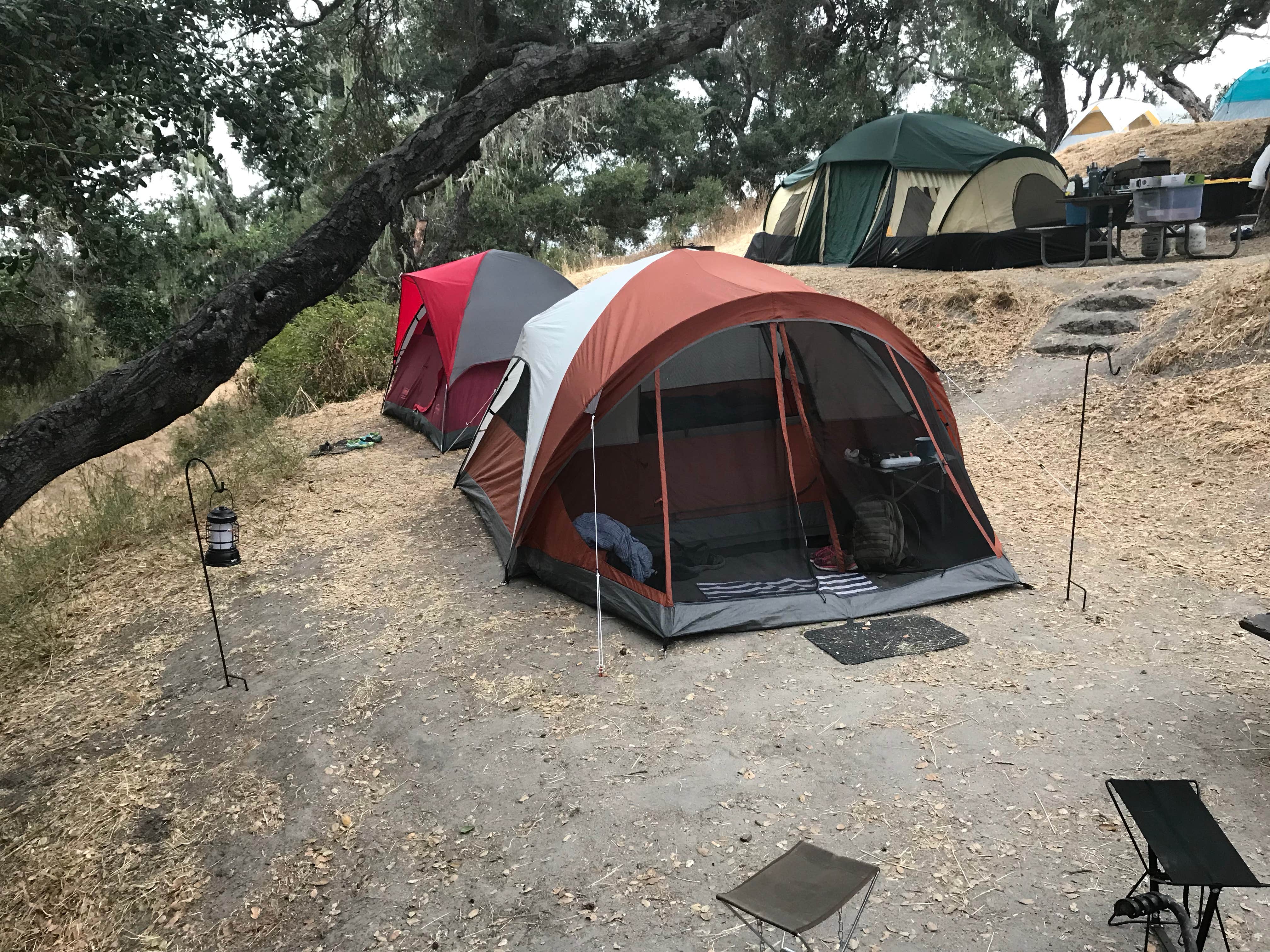 Camper submitted image from Lopez Lake Recreation Area - 4