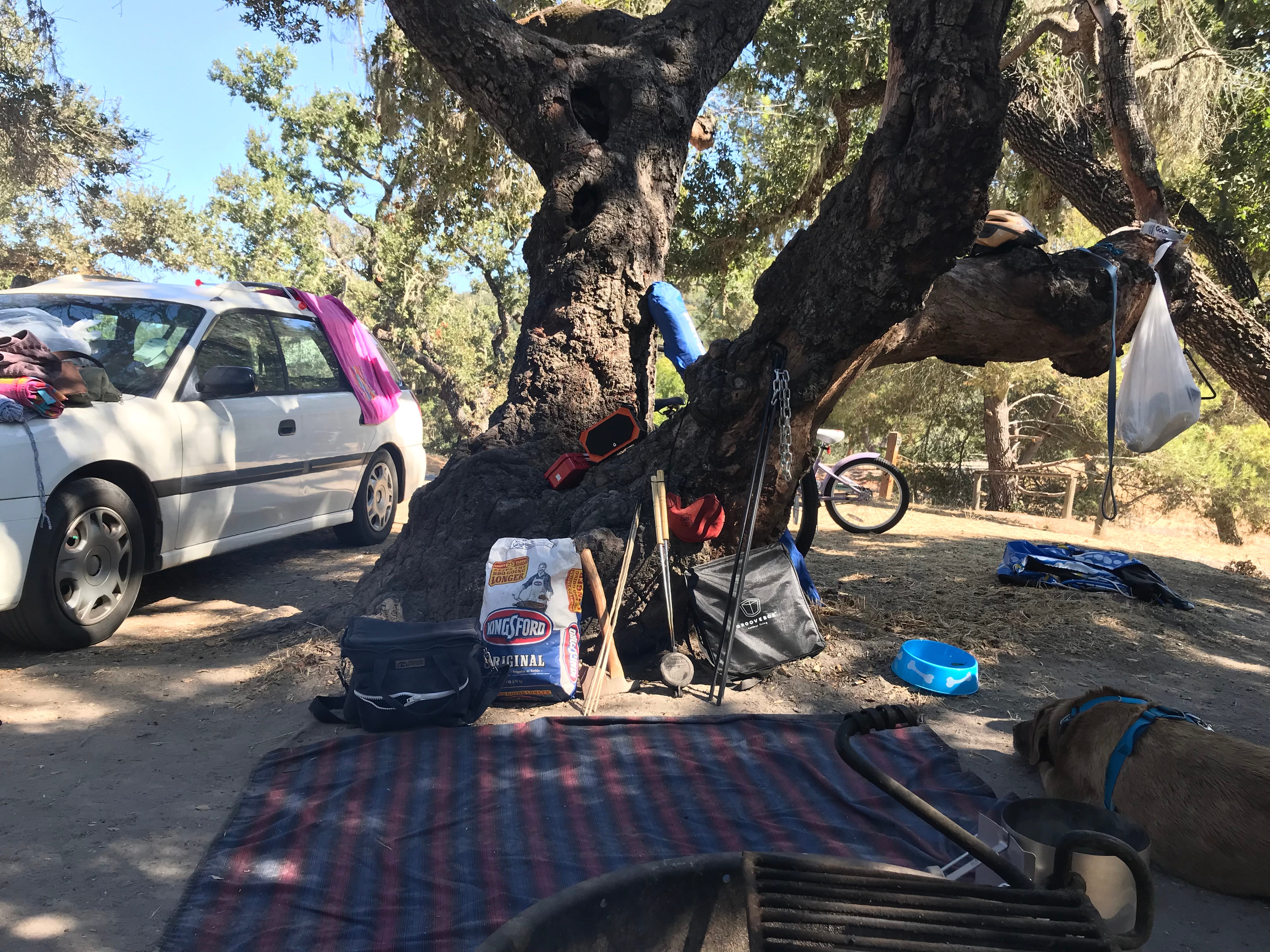 Camper submitted image from Lopez Lake Recreation Area - 1