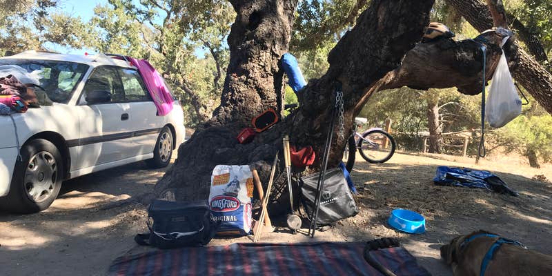 Camper submitted image from Lopez Lake Recreation Area
