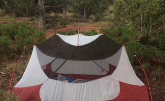 Isabelle K.'s photo at Devils Canyon Campground near Blanding, UT