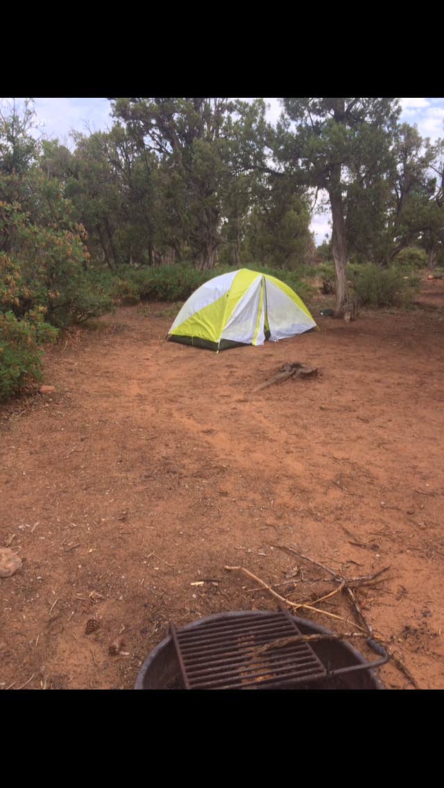 Isabelle K.'s photo at Devils Canyon Campground near Dove Creek, CO