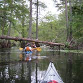 Review photo of South Campground — Chicot State Park by Mike V., June 29, 2016