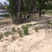 Review photo of Lake View Campground — Escalante State Park by Isabelle K., August 14, 2017