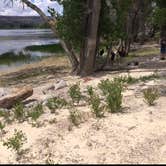 Review photo of Lake View Campground — Escalante State Park by Isabelle K., August 14, 2017
