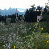 Review photo of Shadow Mountain Dispersed Camping by Natalie B., August 14, 2017