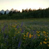 Review photo of Shadow Mountain Dispersed Camping by Natalie B., August 14, 2017