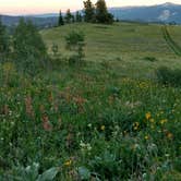 Review photo of Shadow Mountain Dispersed Camping by Natalie B., August 14, 2017