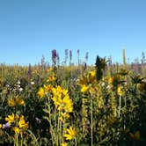Review photo of Shadow Mountain Dispersed Camping by Natalie B., August 14, 2017