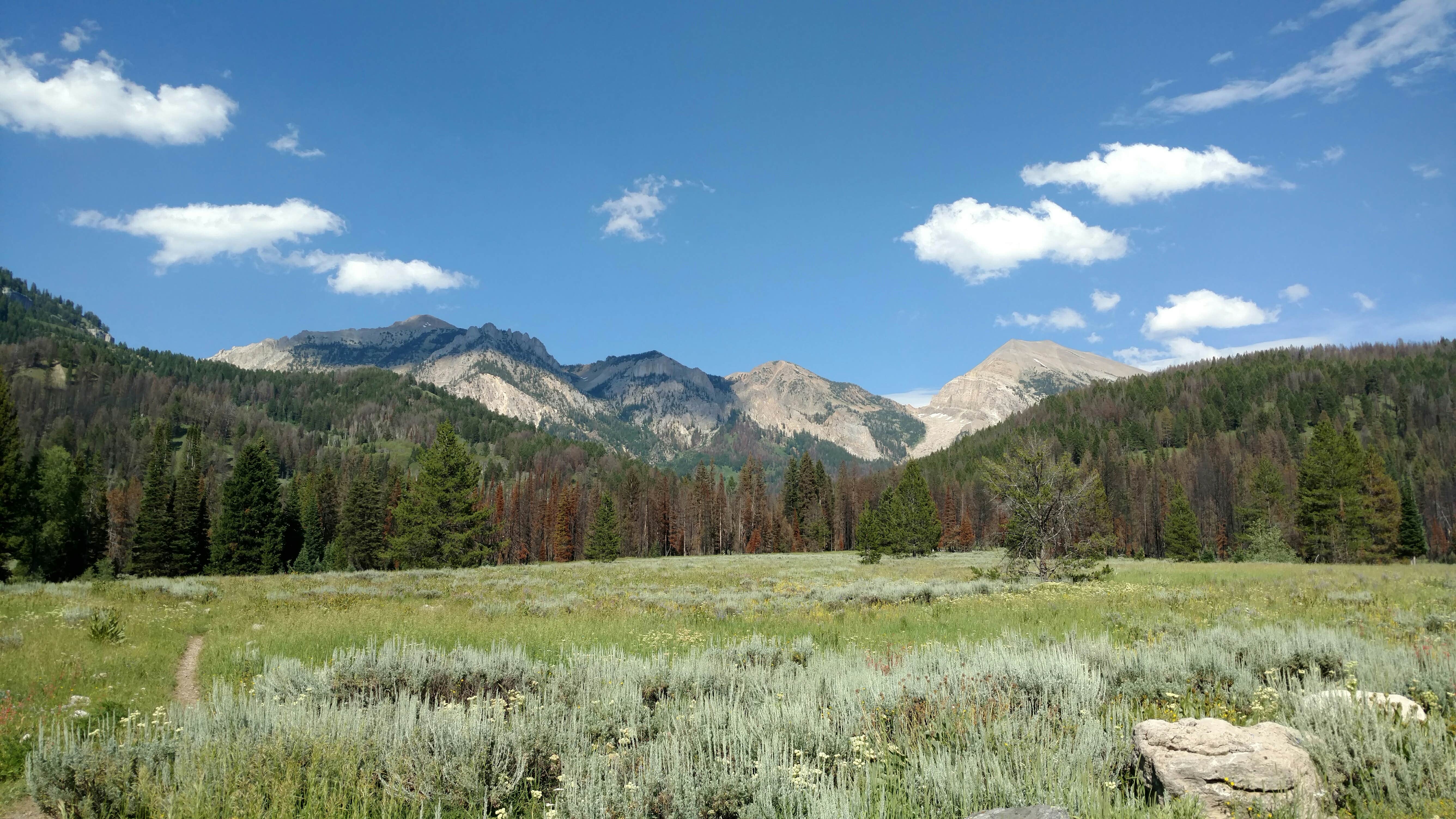 Granite Creek Campground Jackson, WY