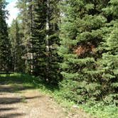 Review photo of Granite Creek Campground by Natalie B., August 14, 2017