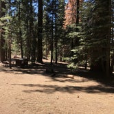 Review photo of Azalea Campground — Kings Canyon National Park by Jimmy W., August 14, 2017