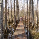Review photo of South Campground — Chicot State Park by Mike V., June 29, 2016