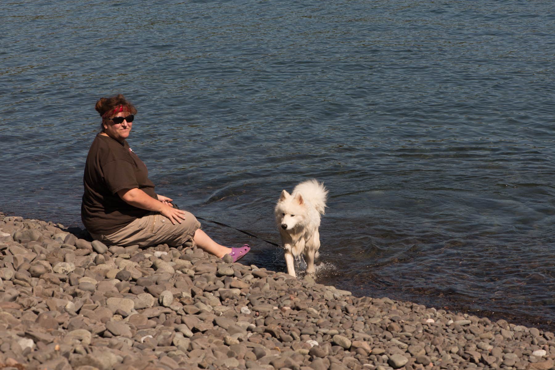 Liz H.'s photo of camping with pets at Split Rock Lighthouse State Park Campground in Minnesota