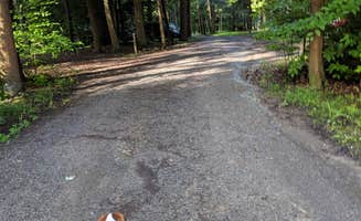Susan S.'s photo of camping with pets at Ridge Campground near Pennsylvania Furnace, PA