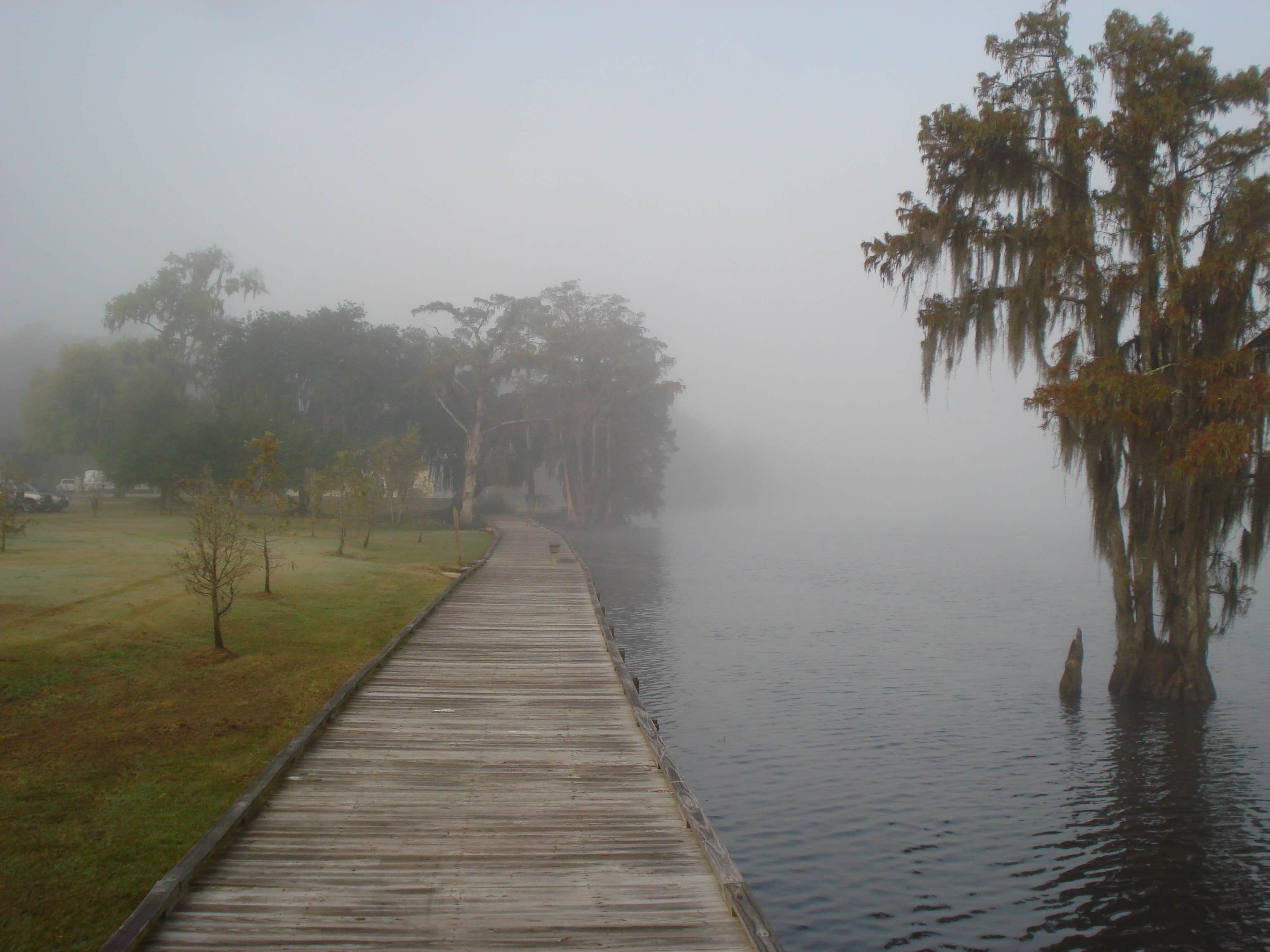 Camper-submitted photo at Fairview-Riverside State Park in Louisiana