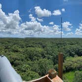 Review photo of Palmetto Ridge Campground — Myakka River State Park by Nat W., October 4, 2019