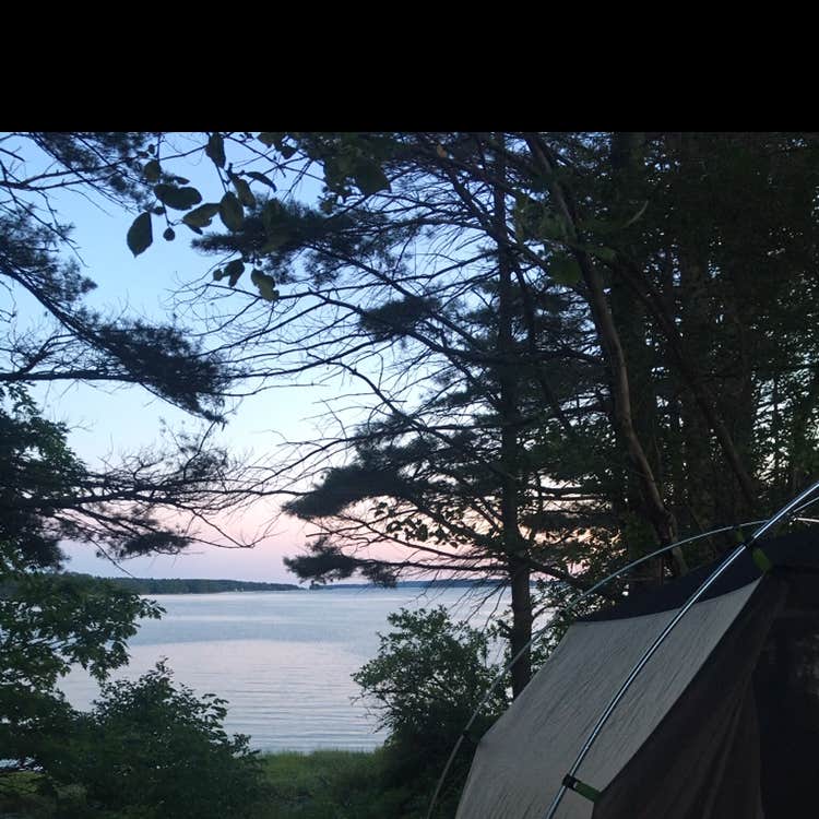 Wolfe's Neck Oceanfront Campground Camping The Dyrt