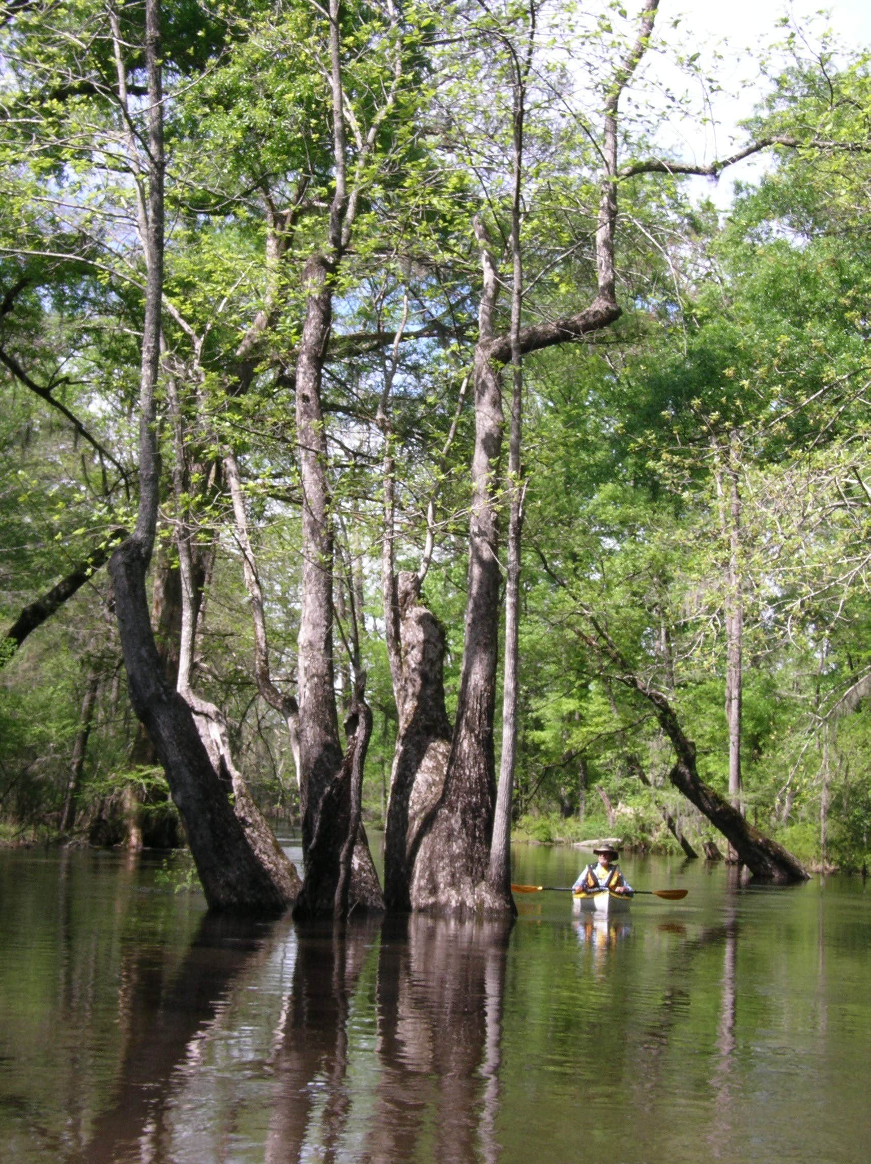 Cloud Crossing Complex Camping Goldonna, LA