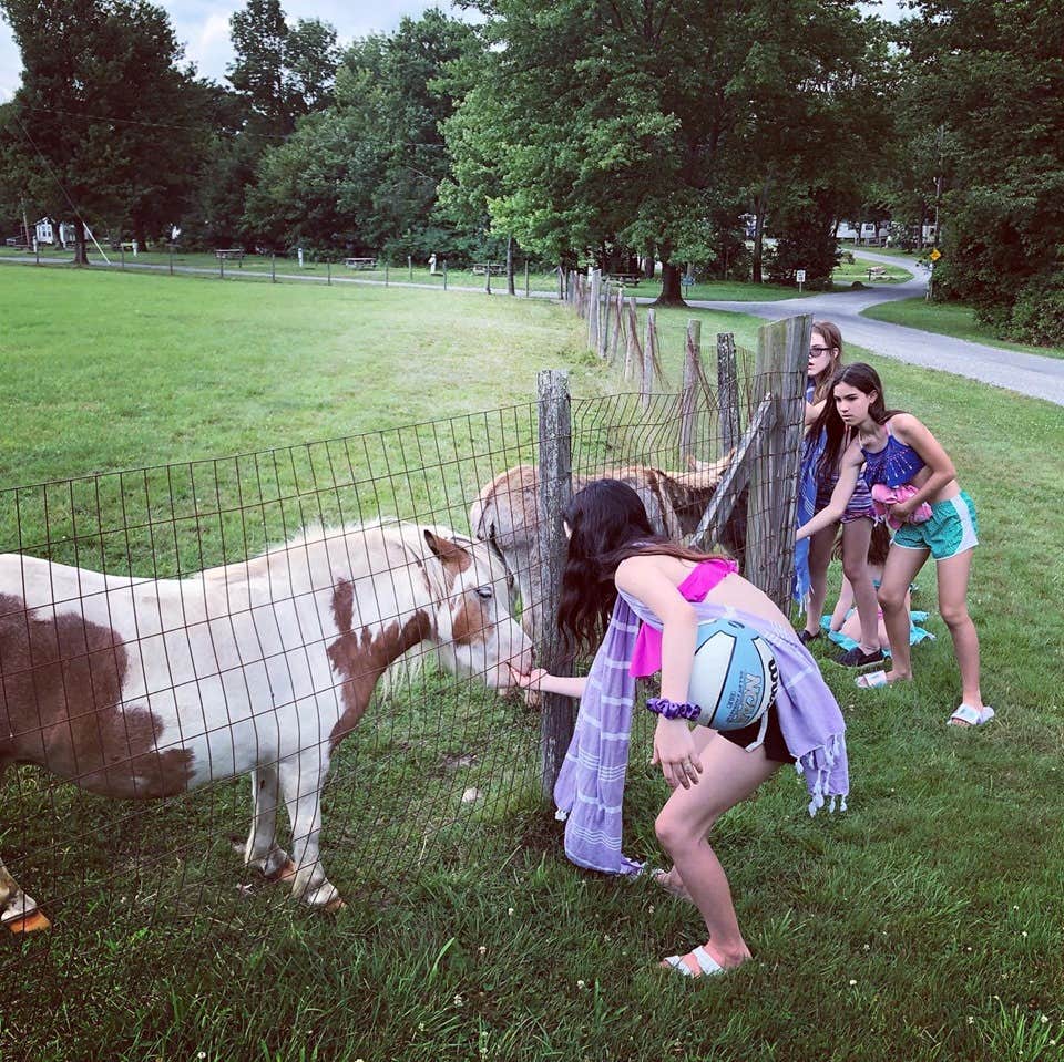 Camper-submitted photo at Pleasant Acres Farm RV Resort near Narrowsburg, NY