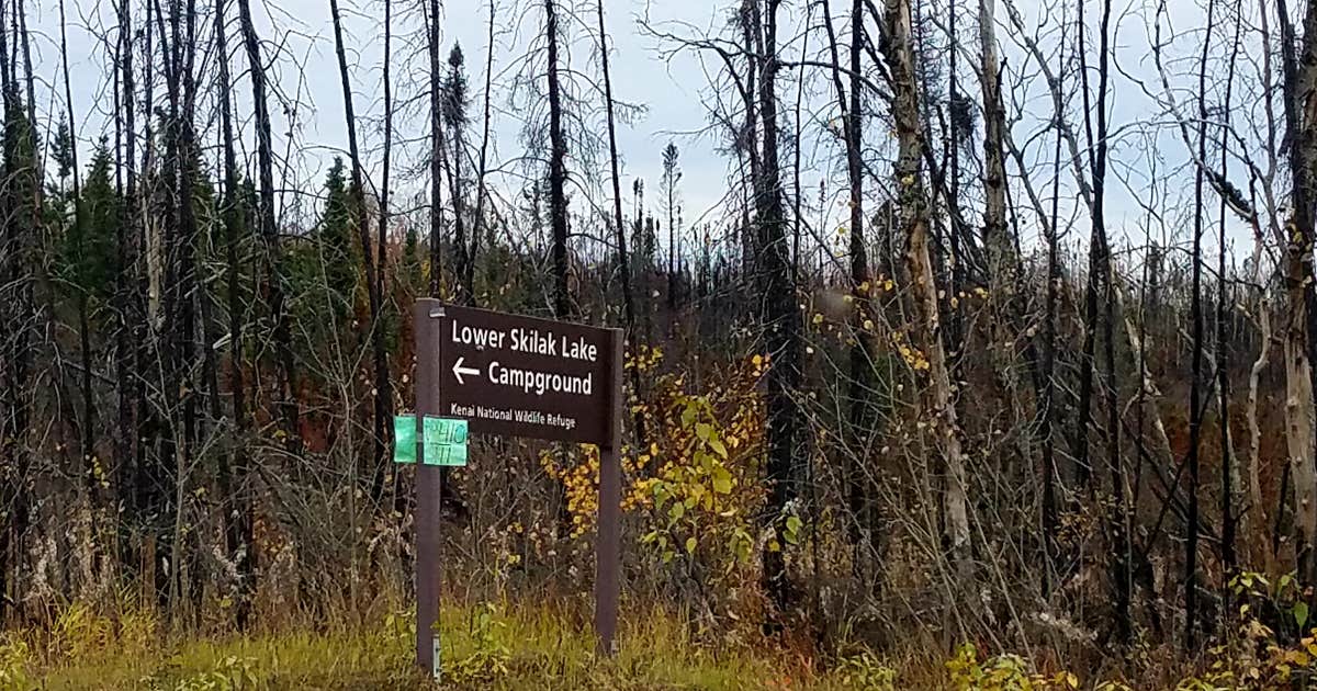Lower Skilak Lake Campground