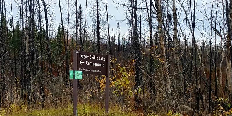 Camper submitted image from Lower Skilak Lake Campground