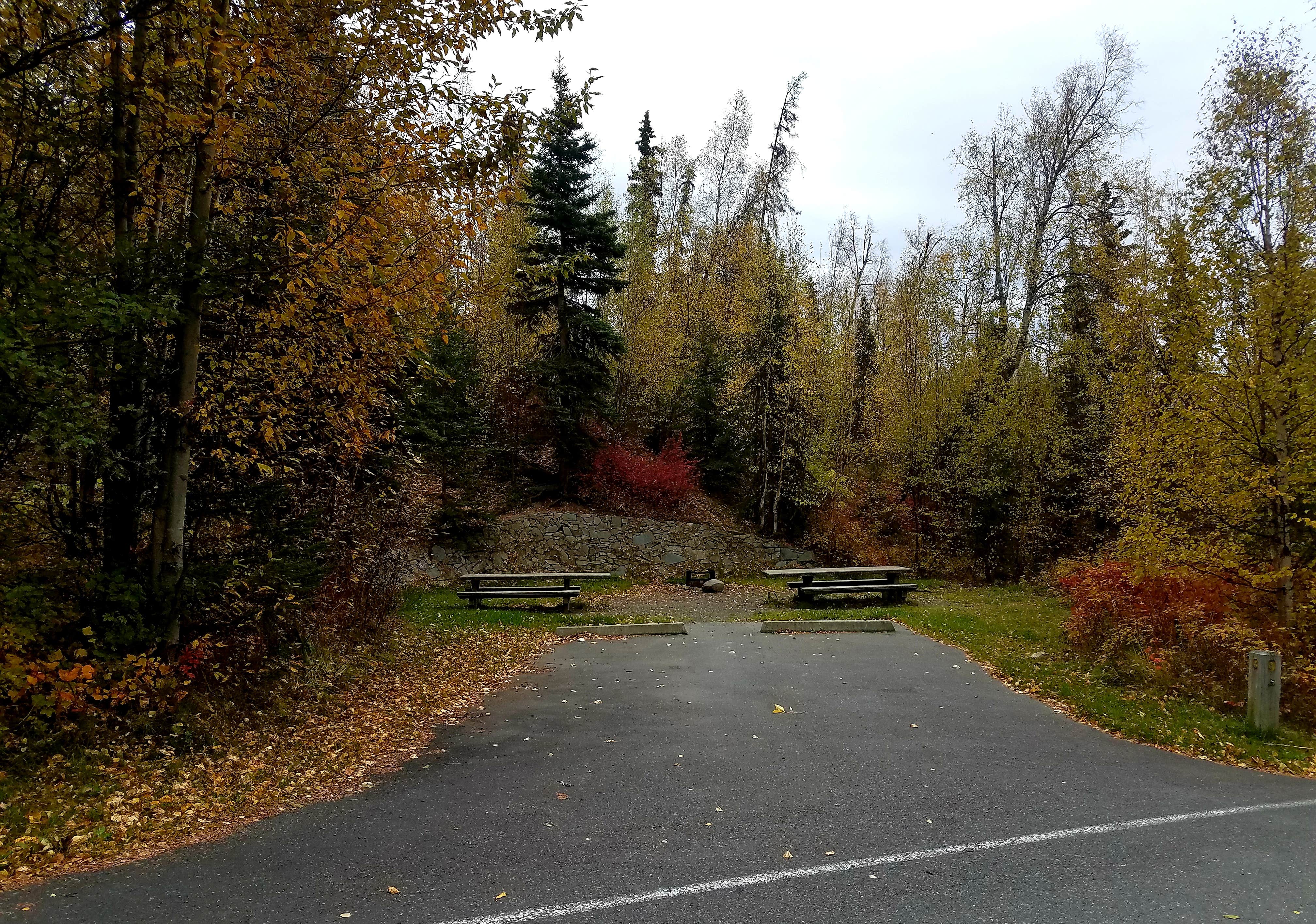 Camper submitted image from Upper Skilak Lake Campground - Kenai National Wildlife Refuge - 3