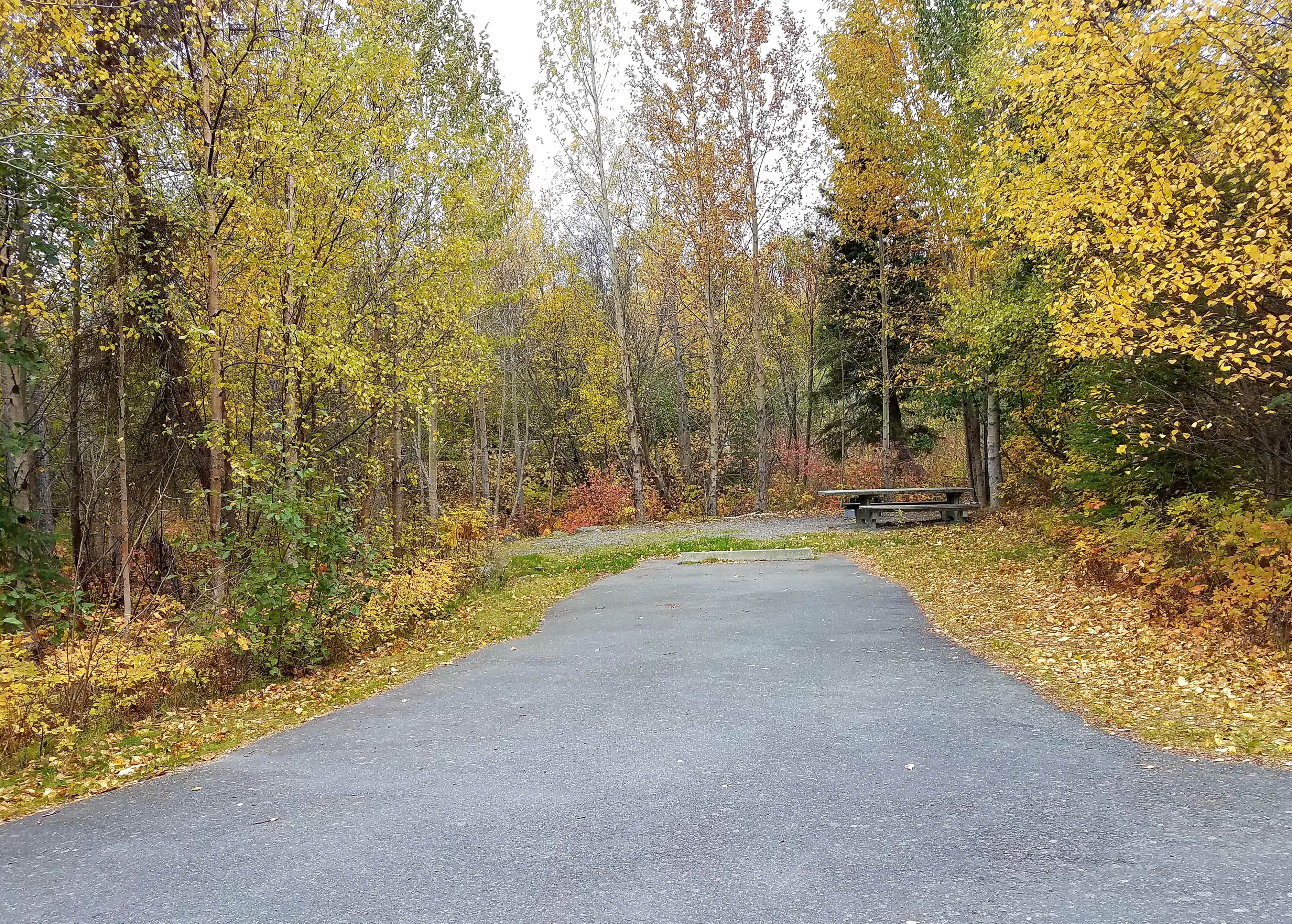 Camper submitted image from Upper Skilak Lake Campground - Kenai National Wildlife Refuge - 2