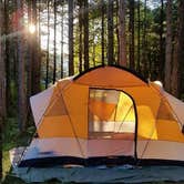 Review photo of Kohler-Andrae State Park by Allison V., August 15, 2017