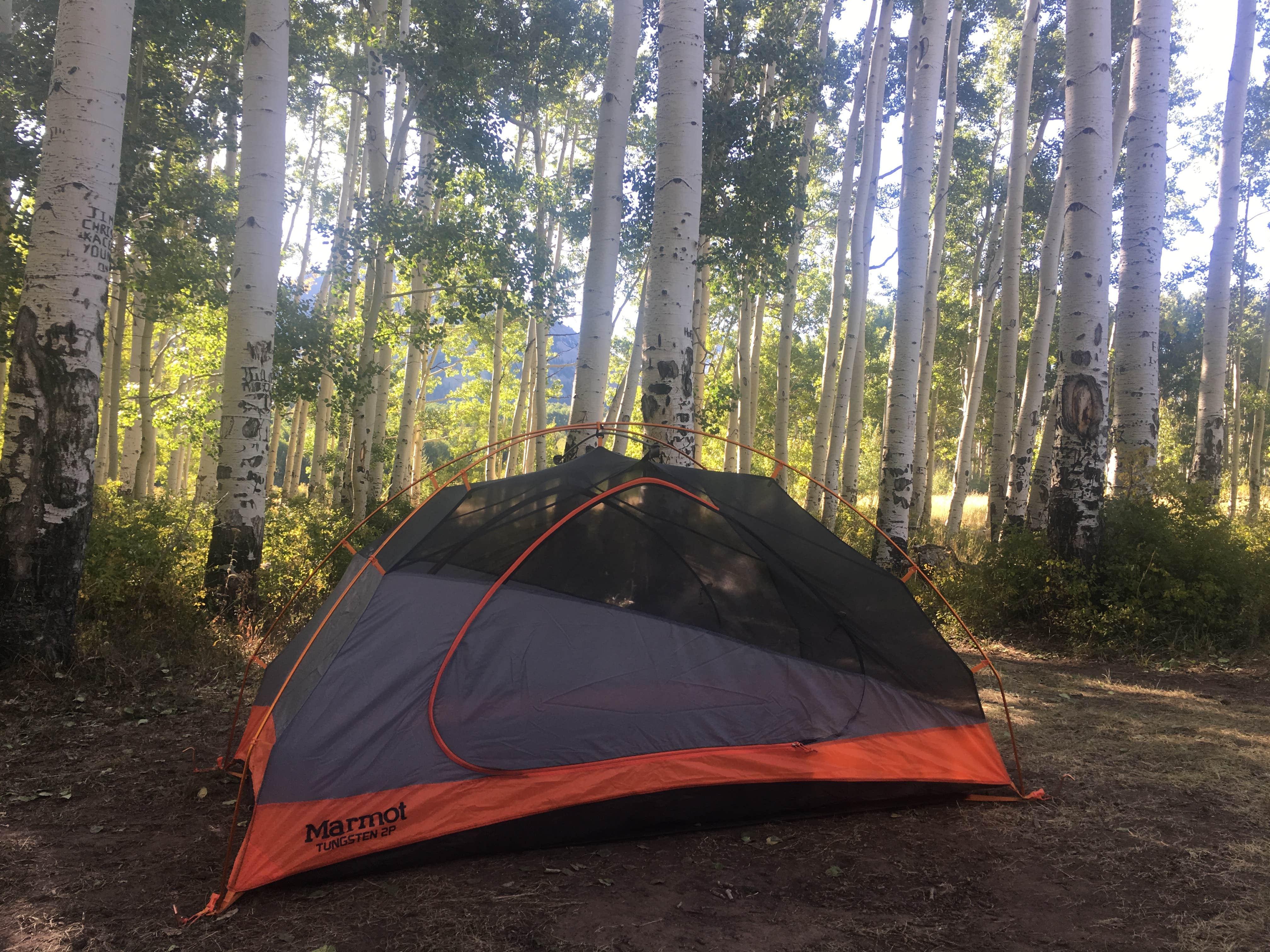 Camper submitted image from Warner Lake - 2