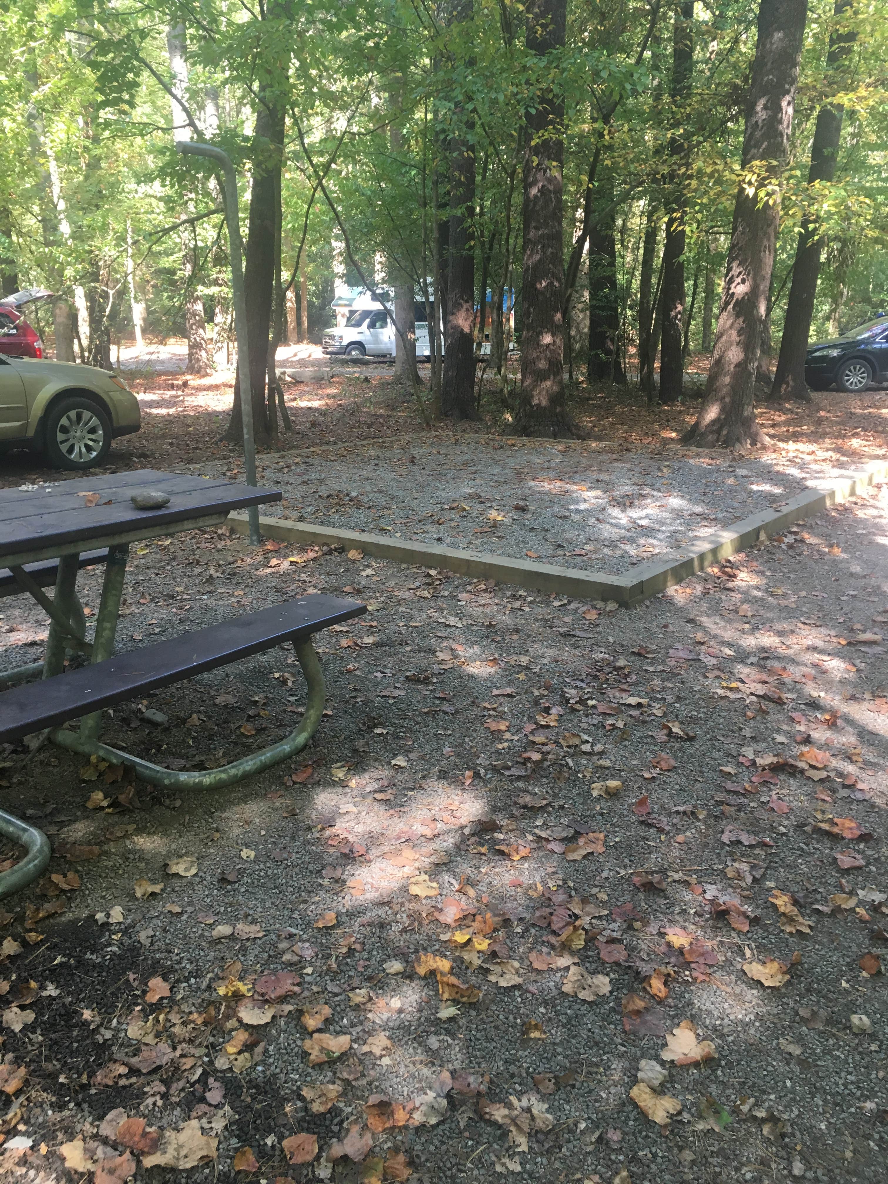 David C.'s photo at Cataloochee Campground — Great Smoky Mountains National Park near Maggie Valley, NC