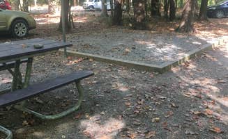 David C.'s photo at Cataloochee Campground — Great Smoky Mountains National Park near Lake Junaluska, NC