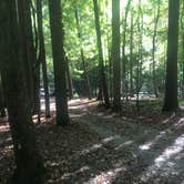 Review photo of Cataloochee Campground — Great Smoky Mountains National Park by David C., October 5, 2019