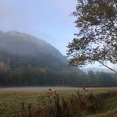 Review photo of Cataloochee Campground — Great Smoky Mountains National Park by David C., October 5, 2019