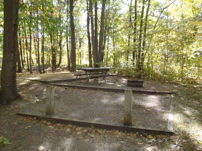 Camper submitted image from D.H. Day Campground — Sleeping Bear Dunes National Lakeshore - 5