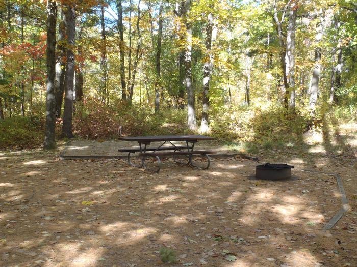 Camper submitted image from D.H. Day Campground — Sleeping Bear Dunes National Lakeshore - 4