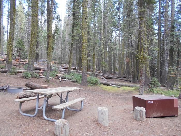 Camper submitted image from Crane Flat Campground — Yosemite National Park - 2