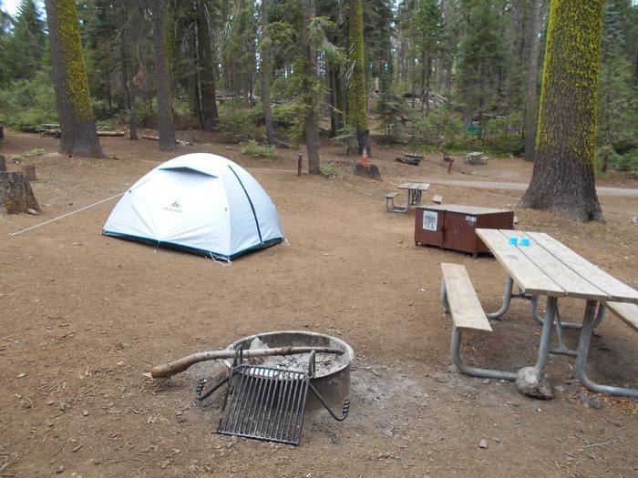 Camper submitted image from Crane Flat Campground — Yosemite National Park - 5
