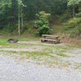 Review photo of Fenton Lake Access - DFWR by Staci R., August 15, 2017