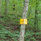 Review photo of Fenton Lake Access - DFWR by Staci R., August 15, 2017