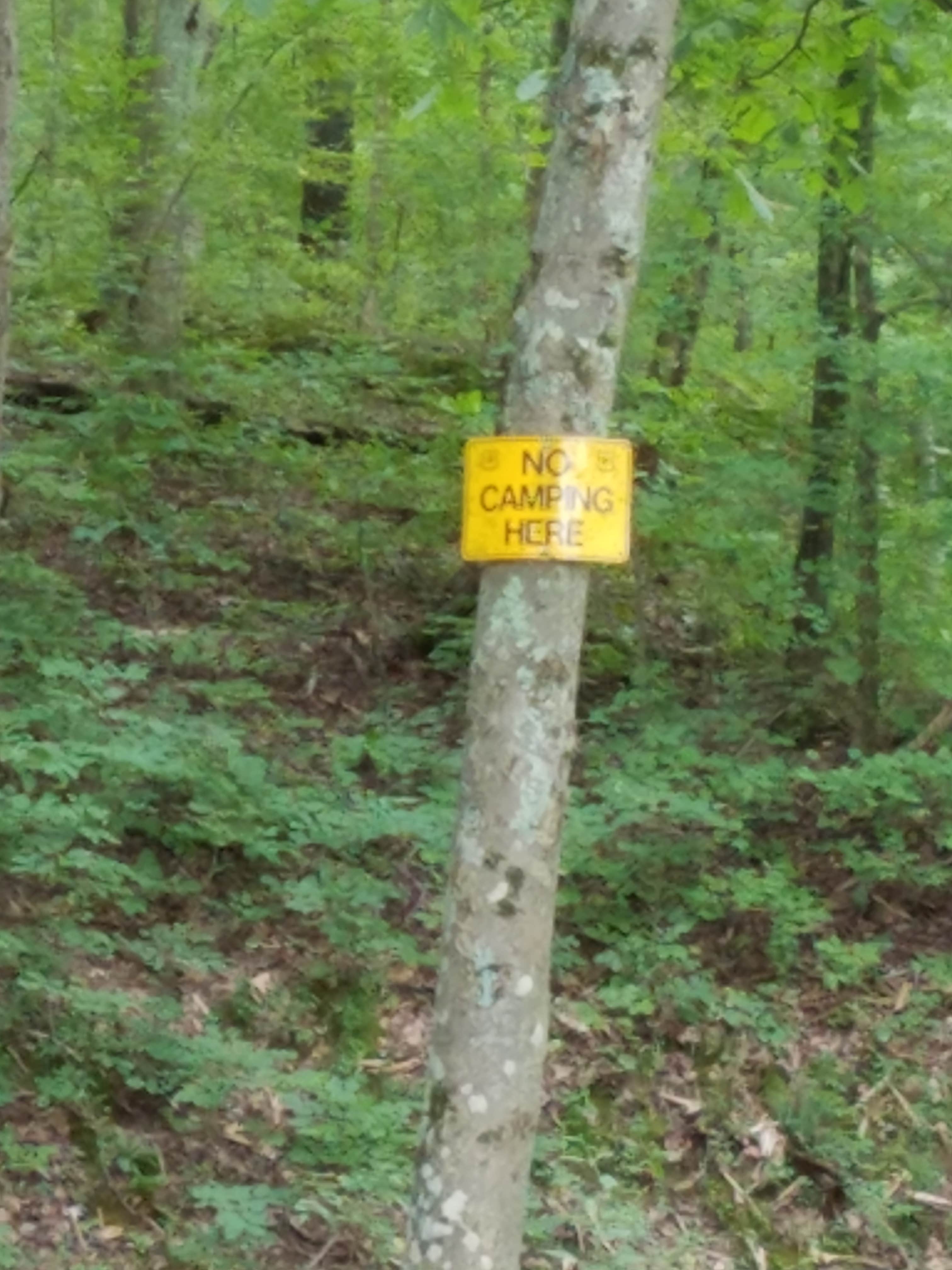 Camper submitted image from Fenton Lake Access - DFWR - 1