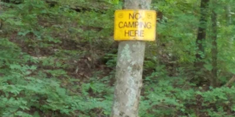 Camper submitted image from Fenton Lake Access - DFWR