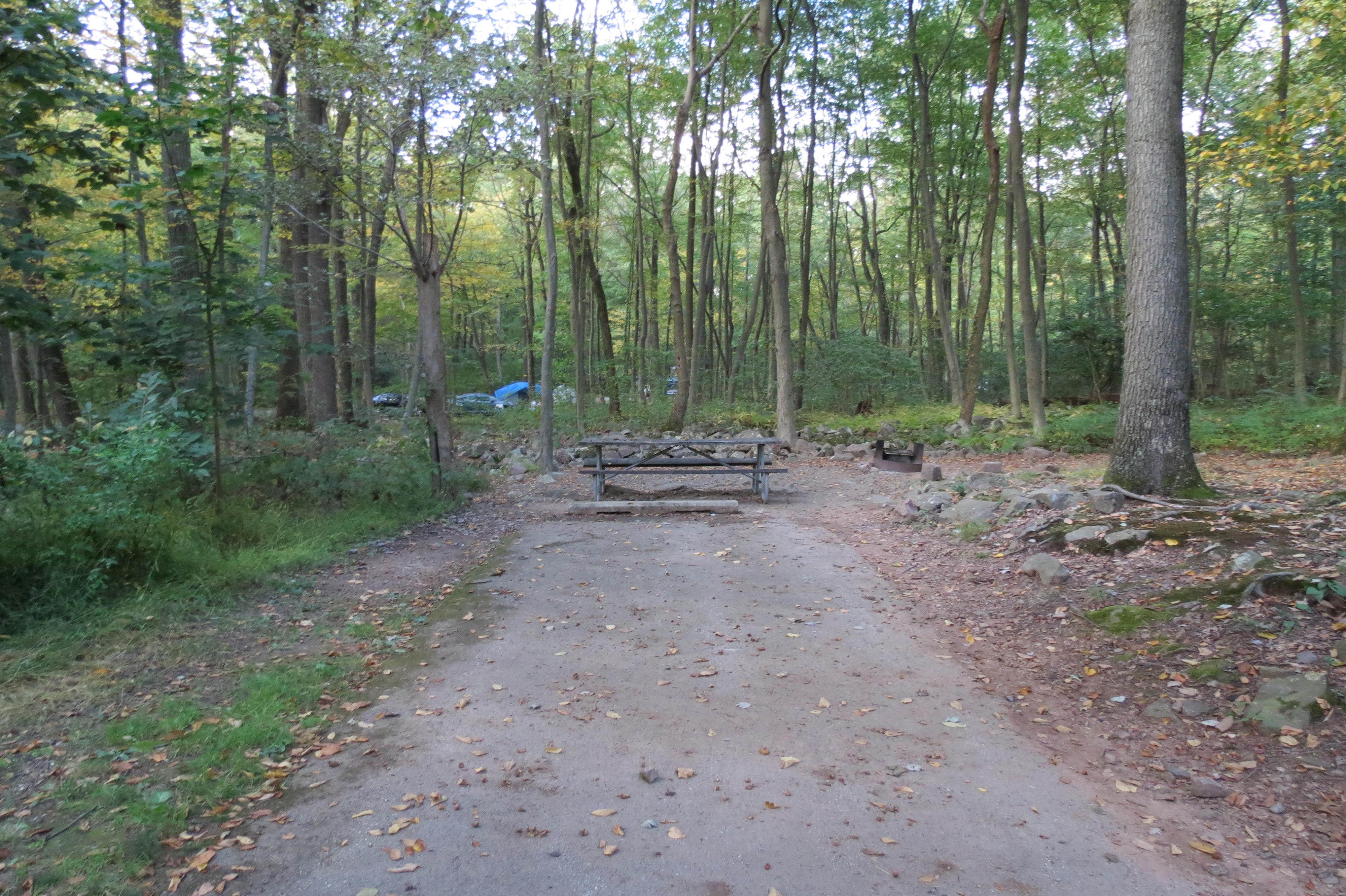 Camper-submitted photo at French Creek State Park Campground near Hockessin, DE