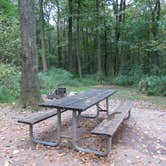 Review photo of French Creek State Park Campground by Ellen C., October 5, 2019